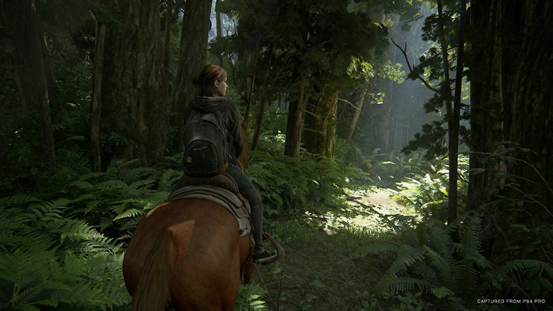 6 Скриншот игры The Last of Us: Part II 