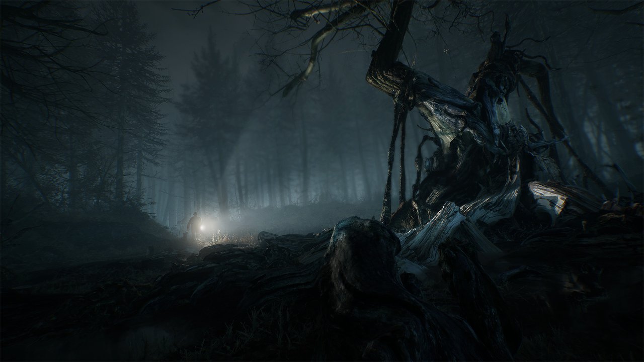 Blair Witch: системные требования, дата выхода, описание игры.