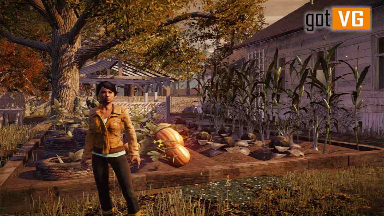 State of Decay: Year-One Survival Edition: системные требования, дата  выхода, описание игры.